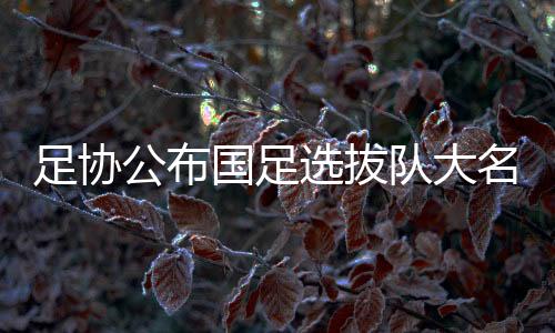 运动员于11月3日16:00前报到