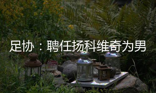 家队中国足球协会研究批准