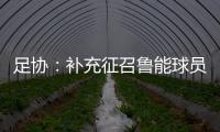 足协
：补充征召鲁能球员刘洋入选国足集训名单
