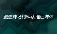 跑道球场材料认准远洋体育——更环保的塑胶跑道