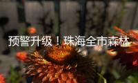 预警升级！珠海全市森林火险橙色预警信号生效