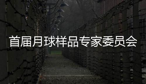 样品委员会由9-11人组成