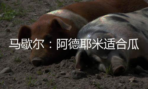 除了技术适配与战术需求外