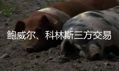 尔科达成了几个关键目标