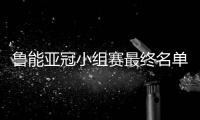 鲁能亚冠小组赛最终名单
：费莱尼顶替了格德斯