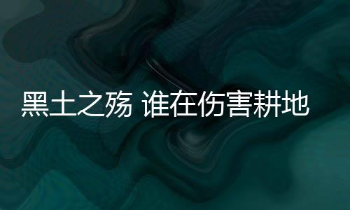 有两种不同的大熊猫观念