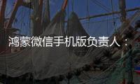 鸿蒙微信手机版负责人	�：对齐安卓
，超过iOS