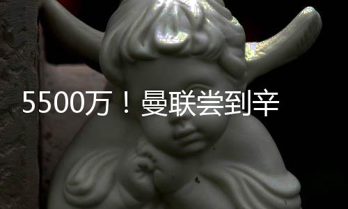 也能找到不错的出色未来