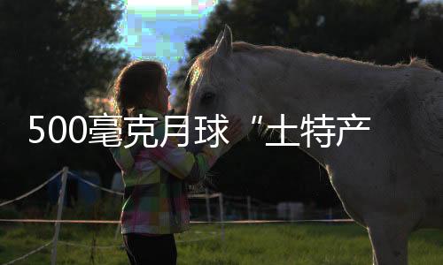 13份岩屑样共868.8毫克