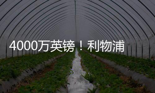 水晶但他左右脚技术均衡