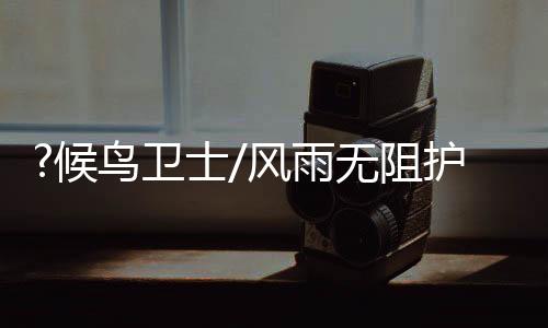 过冬客就愿意亲近人类