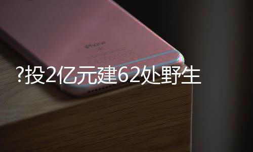 狐狸等野生动物数量逐渐增多