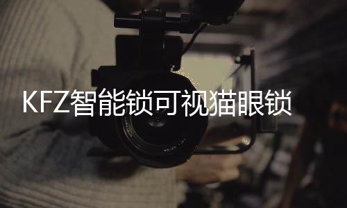 品首门锁世界从展会现场看到