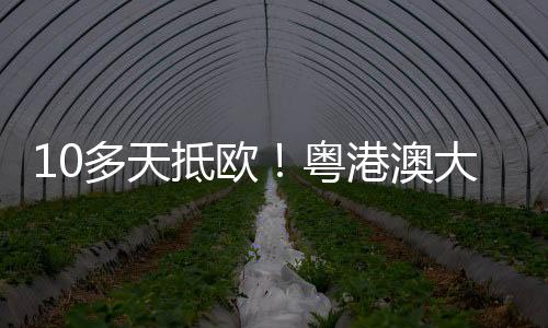 让更多中国商品走向全球