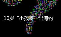 快排公司十年历程，霸屏兔 seo 的崛起与坚守
