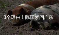 3个理由�！陈国豪回广东倒计时，联手郭艾伦，朱芳雨被1个执念困住