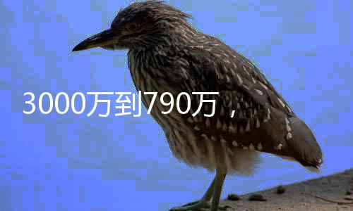 肠都才清本赛季15.3分