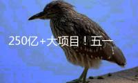250亿+大项目！五一邀你继续参与