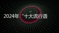 2024年“十大流行语”发布
，“未来产业”“city不city”等入选