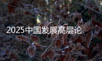 2025中国发展高层论坛：真诚欢迎国际资本回归中国