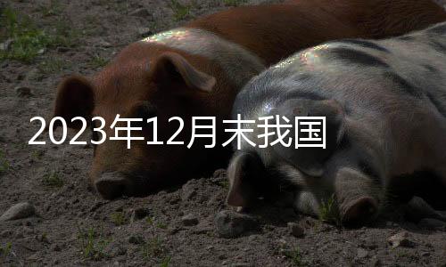 外汇为亿截至2023年12月末