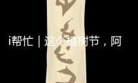 i帮忙｜这个植树节，阿姗有个心愿：亲手种下一棵“友谊树”