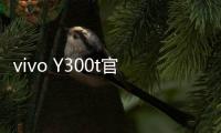 vivo Y300t官宣3月31日发布：超长续航，超强性能